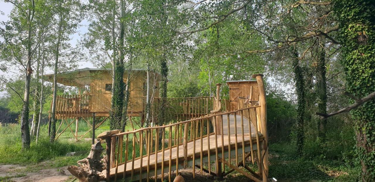 La Cabane Perchee Villelaure Extérieur photo